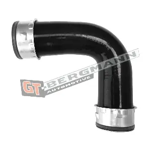 GT52-461 GT-BERGMANN