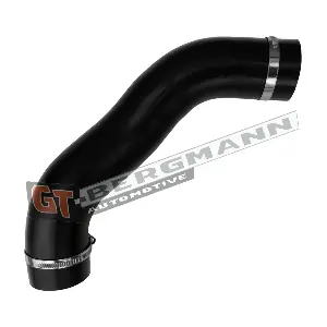 GT52-842 GT-BERGMANN