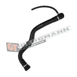 GT52-238 GT-BERGMANN