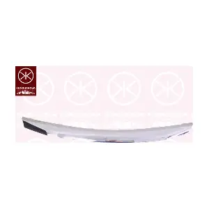 8200763573 RENAULT