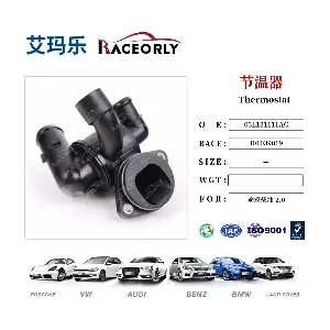I01039019 RACEORLY