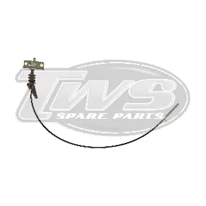 FI2231 TWS