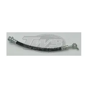 NS21869 TWS