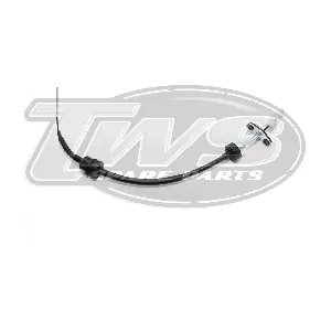 FI1238 TWS
