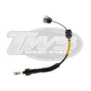 CN1179 TWS
