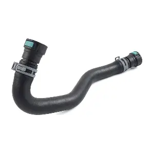 LR034616 Albro