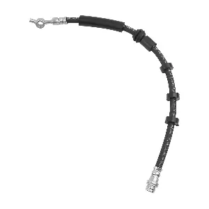 LR008148 Albro