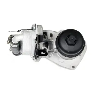 LR006653 Albro