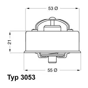 BorgWarner (Wahler) 3053.78
