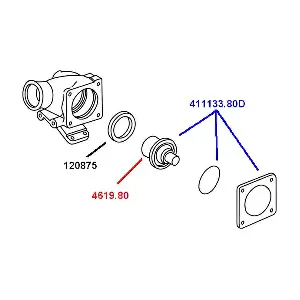 411133.80D BorgWarner (Wahler)