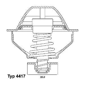 410289.81D BorgWarner (Wahler)