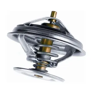 408379 BorgWarner (Wahler)