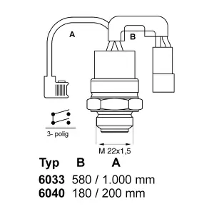 6033.88 BorgWarner (Wahler)