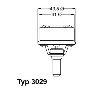 BorgWarner (Wahler) 3029.89