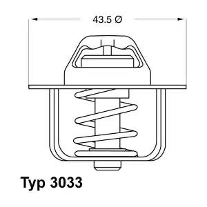3033.78 BorgWarner (Wahler)