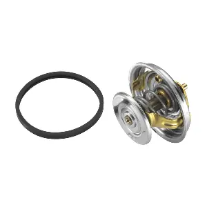 4122.87D BorgWarner (Wahler)