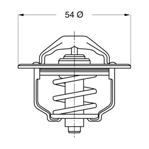 BorgWarner (Wahler) 3103.79