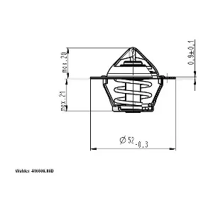 BorgWarner (Wahler) 41080688D