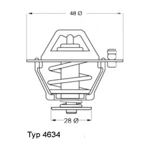 463476 BorgWarner (Wahler)