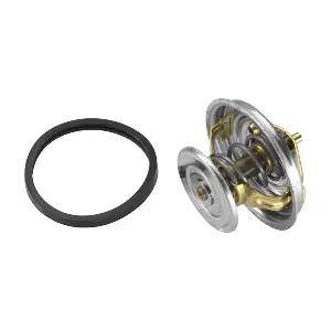 BorgWarner (Wahler) 4158.80D