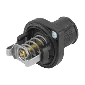 BorgWarner (Wahler) 3463.89D