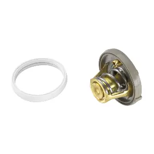 BorgWarner (Wahler) 410262.91D