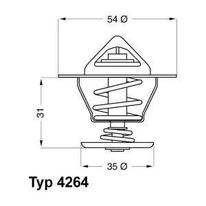 BorgWarner (Wahler) 4264.87D