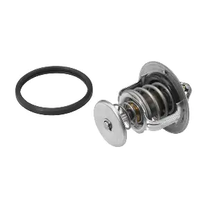BorgWarner (Wahler) 410201.80D