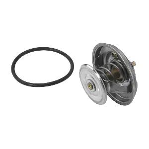 411279D BorgWarner (Wahler)