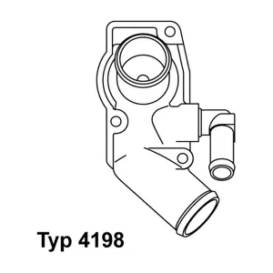 419892D BorgWarner (Wahler)