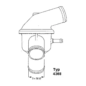 436887 BorgWarner (Wahler)