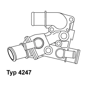 424780D BorgWarner (Wahler)