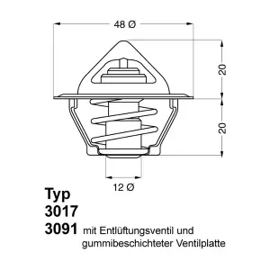 BorgWarner (Wahler) 3017.92D2