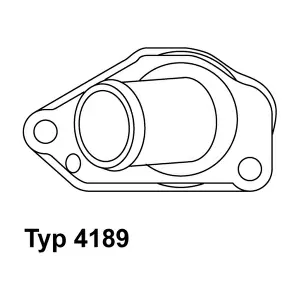 BorgWarner (Wahler) 4189.87D
