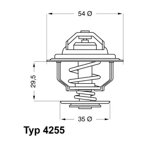 BorgWarner (Wahler) 4255.87D