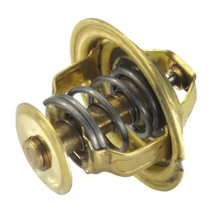 BorgWarner (Wahler) 4026.89