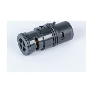 411961.80D BorgWarner (Wahler)