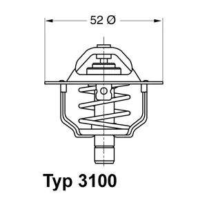 BorgWarner (Wahler) 3100.88D