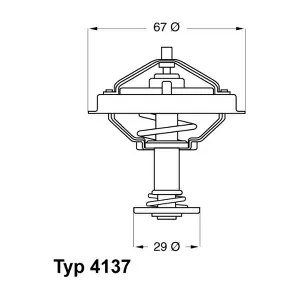 4137.80D BorgWarner (Wahler)