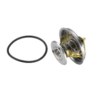 BorgWarner (Wahler) 4078.87D