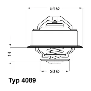 BorgWarner (Wahler) 4089.82D
