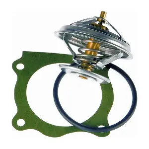 BorgWarner (Wahler) 4083.83D50
