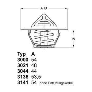 BorgWarner (Wahler) 3000.80