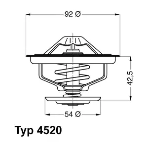 4520.80D BorgWarner (Wahler)