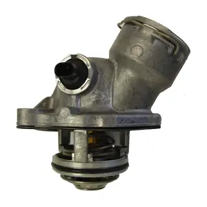 4834100D BorgWarner (Wahler)