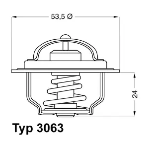 306375 BorgWarner (Wahler)