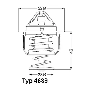 BorgWarner (Wahler) 4639.82D