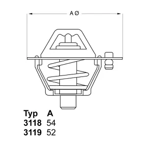 BorgWarner (Wahler) 3119.88