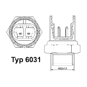 BorgWarner (Wahler) 6031.92D