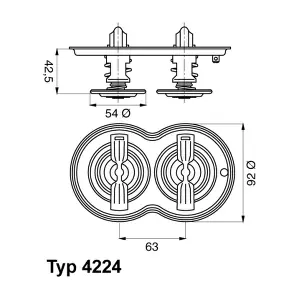 4224.80D BorgWarner (Wahler)